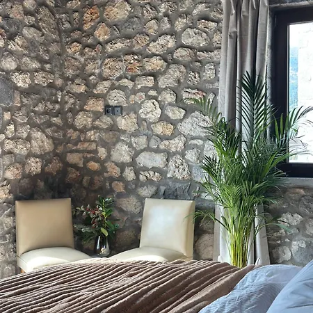 Appartement Wood & Stone